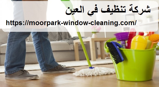 شركة تنظيف في العين |0528803113| تنظيف فلل