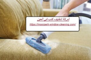 شركة تنظيف كنب في العين