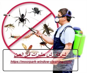 شركة رش حشرات في العين