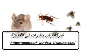 شركة رش حشرات في الفجيرة