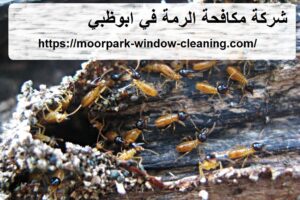 شركة مكافحة الرمة في ابوظبي