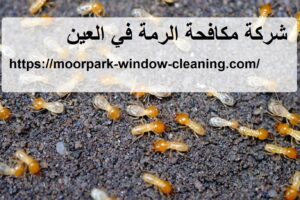 شركة مكافحة الرمة في العين