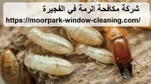 شركة مكافحة الرمة في الفجيرة