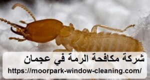شركة مكافحة الرمة في عجمان