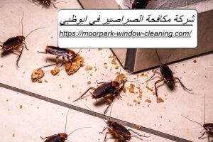 شركة مكافحة الصراصير في ابوظبي