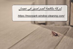شركة مكافحة الصراصير في عجمان