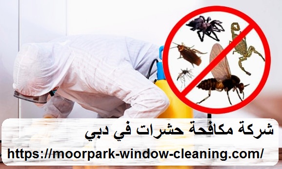 شركة مكافحة حشرات في دبي |0528803113| ابادة الحشرات